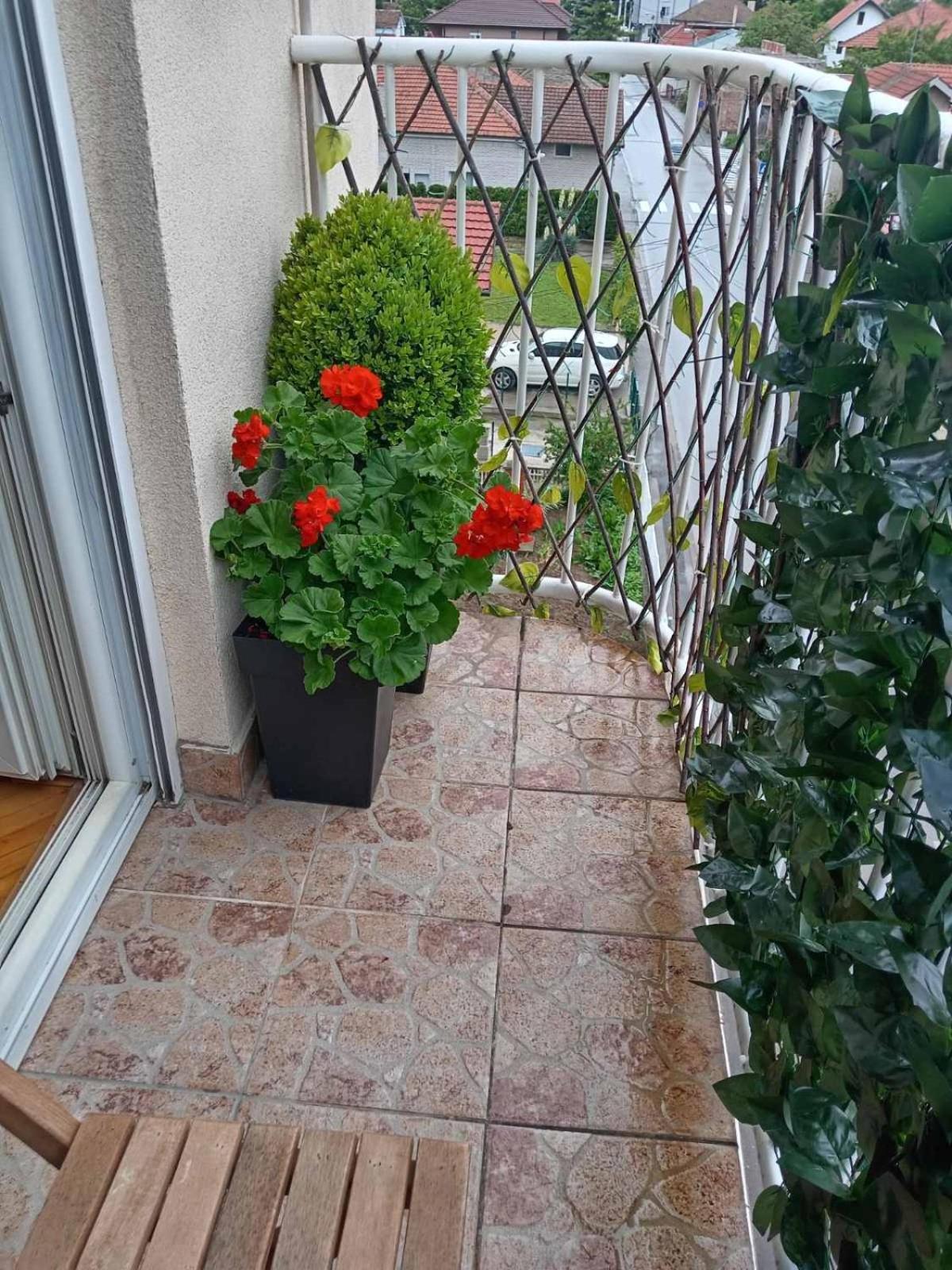 Požarevac Apartman Centar מראה חיצוני תמונה