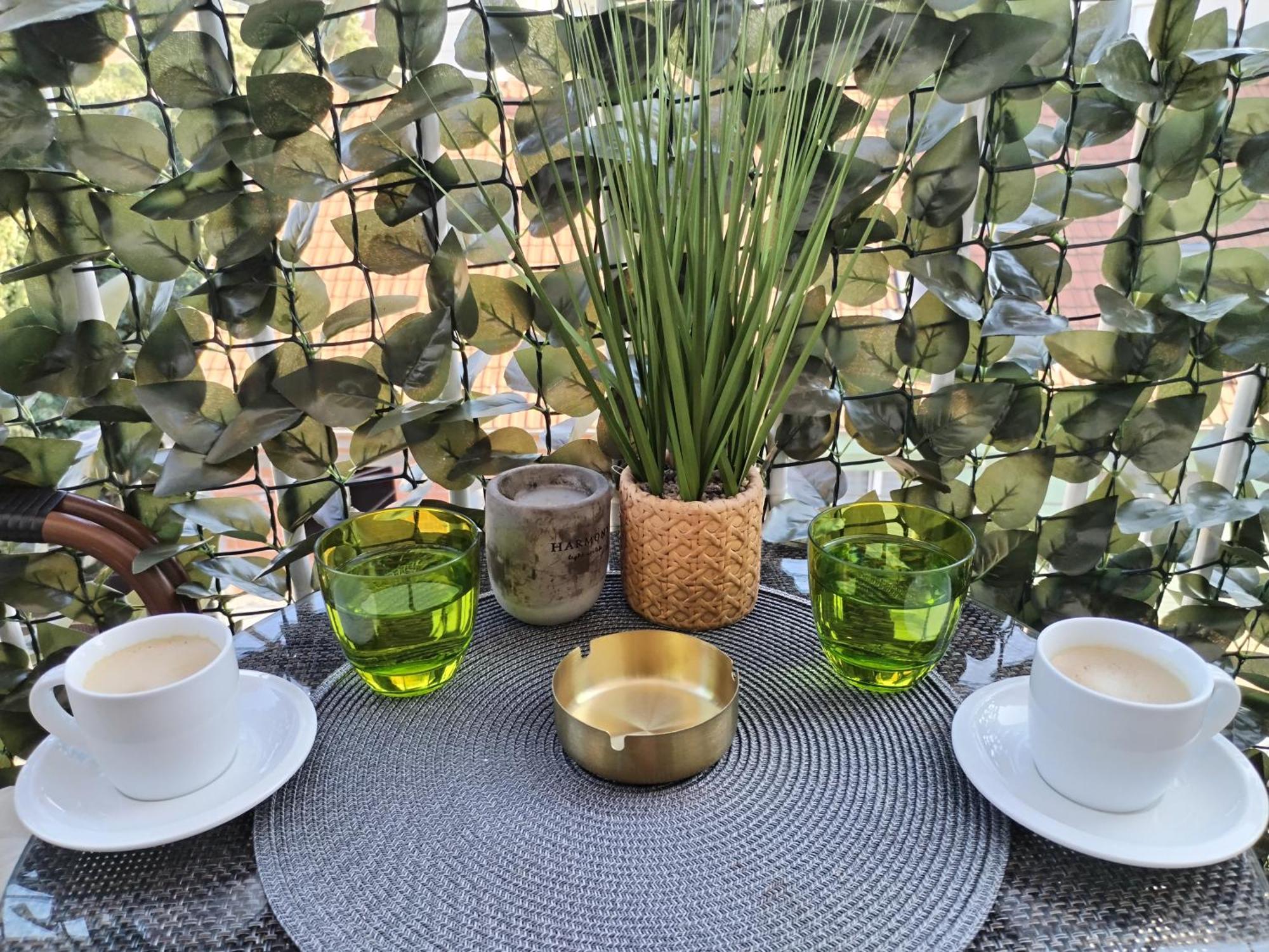 Požarevac Apartman Centar מראה חיצוני תמונה